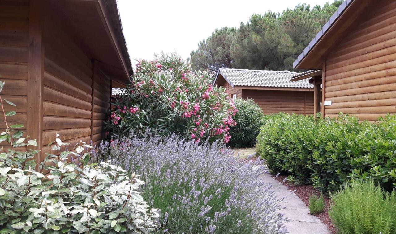 Parc Residentiel Les Hauts De Baldy Agde Exterior photo